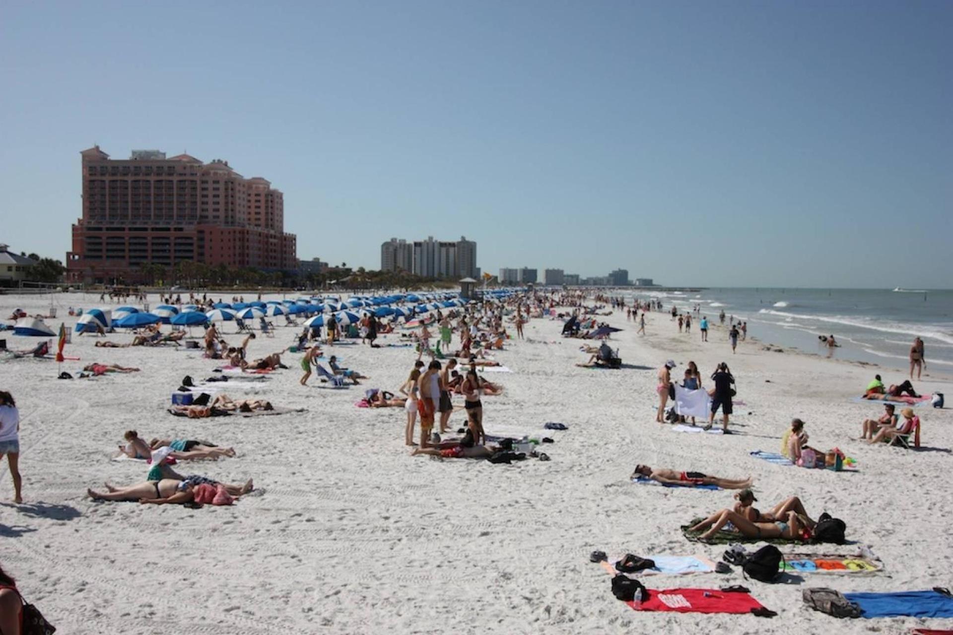 201 Belleair Beach Club Clearwater Beach Bagian luar foto